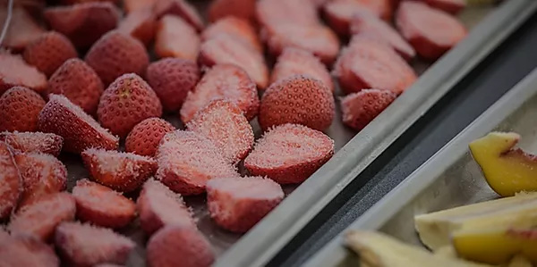 Smaaklaboratorium FG Restaurant